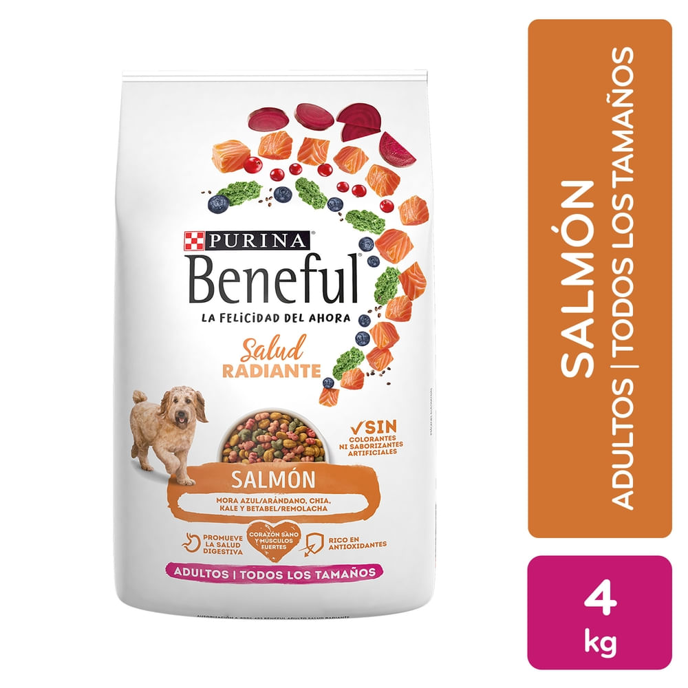 Alimento seco Purina Beneful para perro adulto sabor salmón - 4 kg