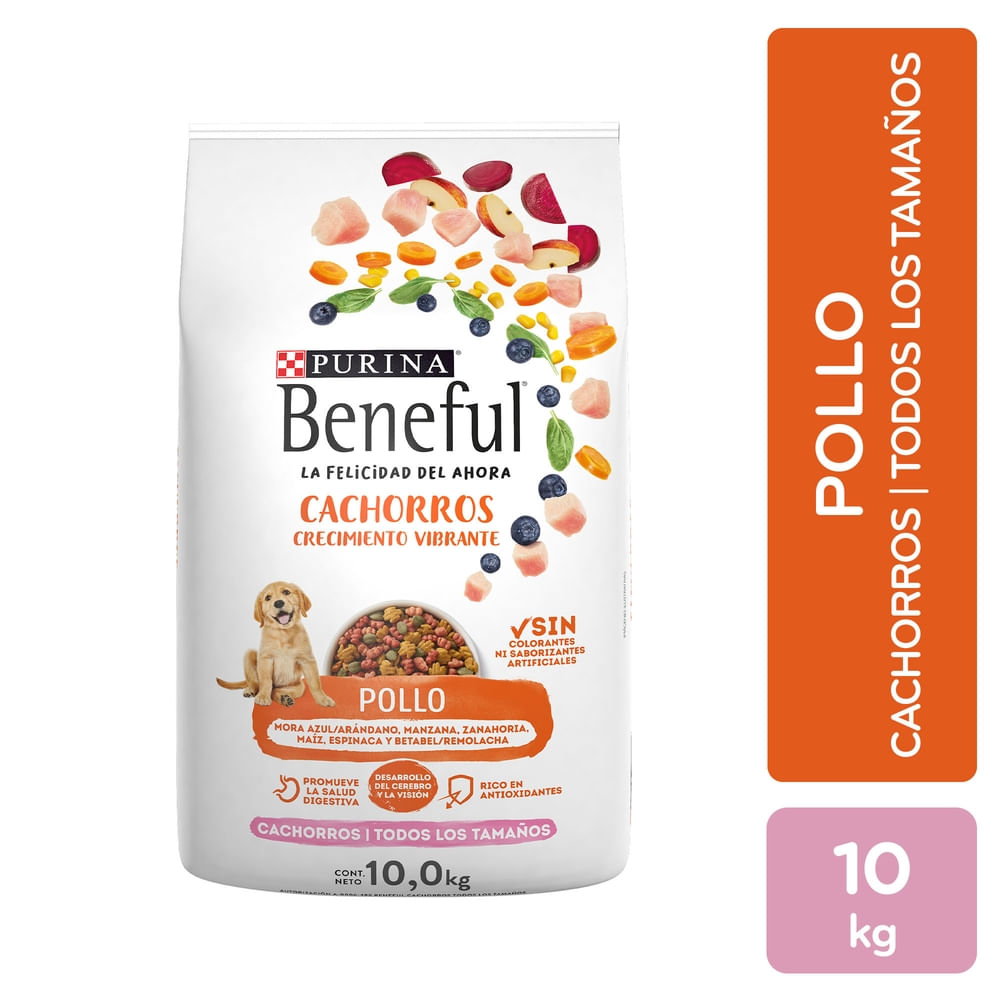 Comida Purina Beneful para cachorro sabor pollo - 10 kg