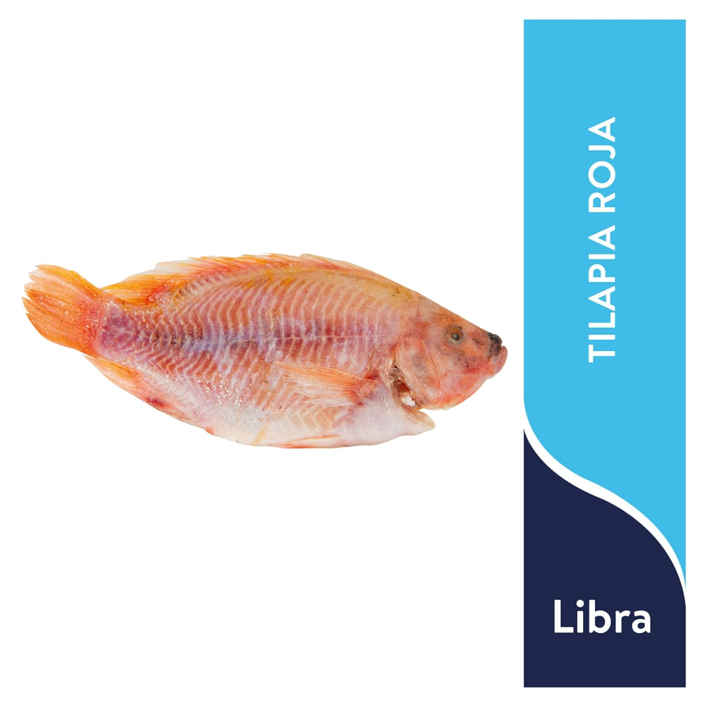 Tilapia Roja Mym Congelado Grande - Precio Indicado por libra