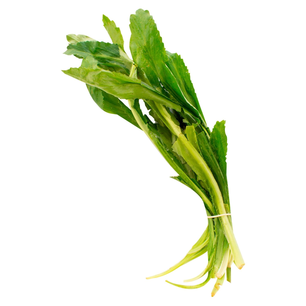 Culantro Pata - 1 Unidad