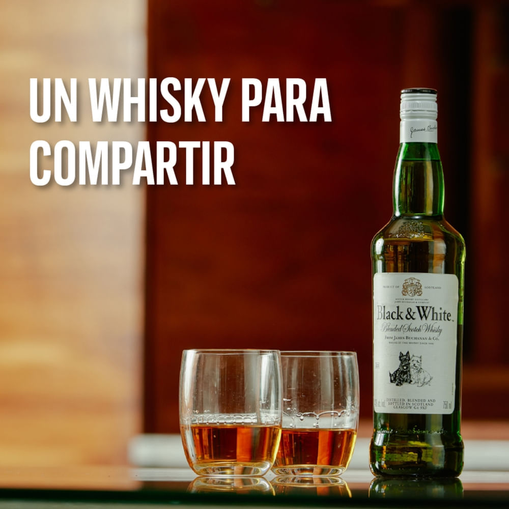Whisky Black & White Botella 750ml
